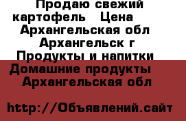 Продаю свежий картофель › Цена ­ 20 - Архангельская обл., Архангельск г. Продукты и напитки » Домашние продукты   . Архангельская обл.